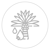 aceite-palma